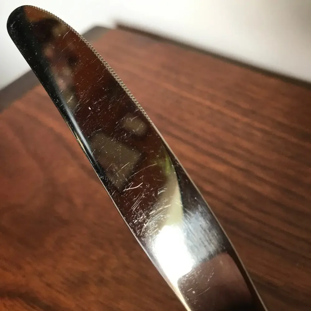 Oneida Community CHATELAINE Stainless Glossy Flatware hollow handle DINNER KNIFE